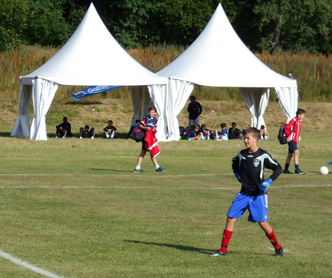 gothia
